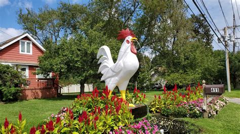 Bello poultry - Bello Poultry Market is a year-round Butcher Farm that offers locals a variety of fresh farm products, produce and family friendly events. We specialize in halal Meat, halal Poultry, …